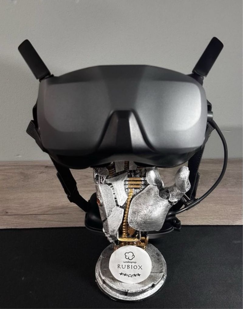 Gafas DJI Goggles N3