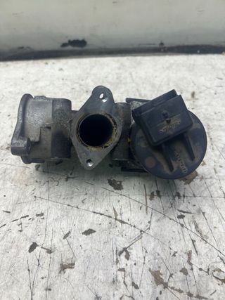Válvula EGR 2000 HDI
