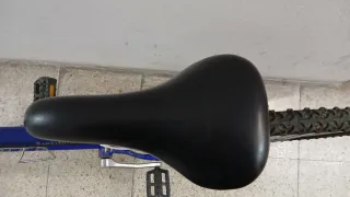 Bicicleta Gary Fisher Montaña Azul