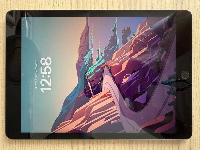 Apple iPad 9ª Gen 10.2” Gris Espacial
