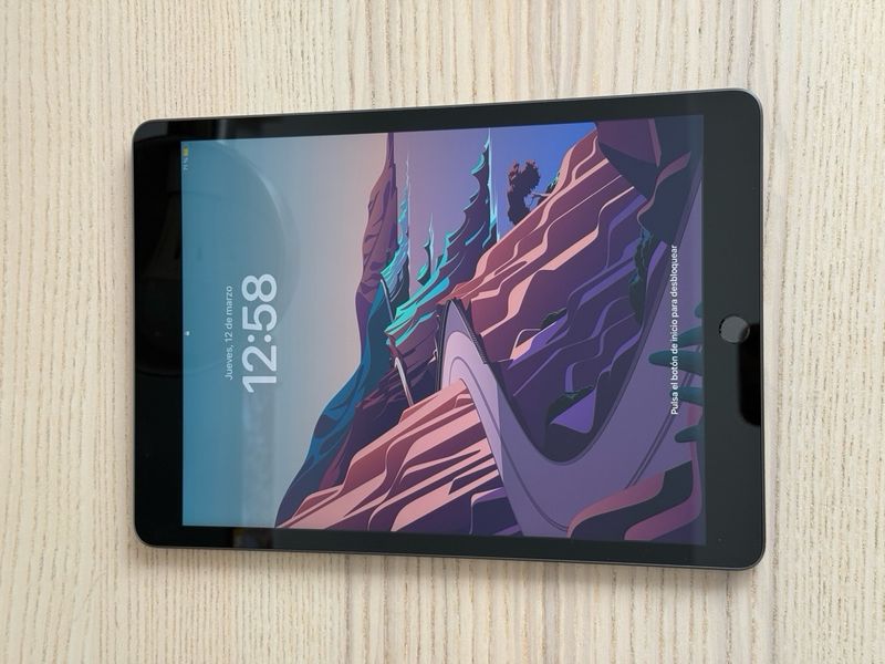 Apple iPad 9ª Gen 10.2” Gris Espacial afbeelding 10