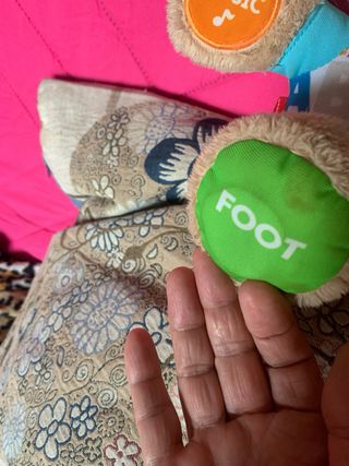 Perro musical Fisher Price 5 puntos