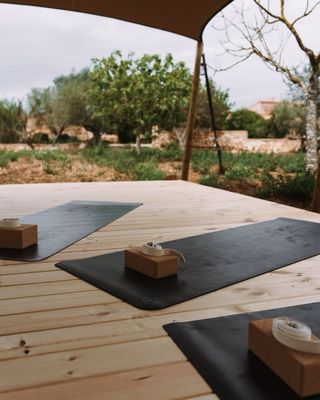 Carpa eventos 15x8m + tarima madera 120m²