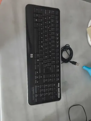 Teclado HP USB Negro y Plateado