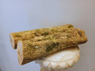 Elegante Madera Boj Buxo Buxus