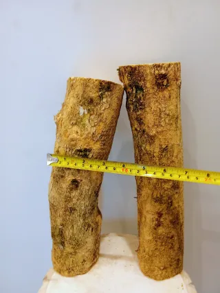 Elegante Madera Boj Buxo Buxus