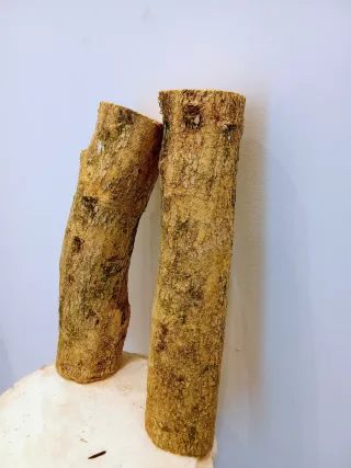 Elegante Madera Boj Buxo Buxus