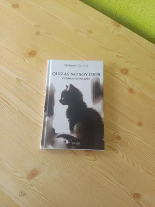 Quizás no soy Dios. Crónicas de un gato