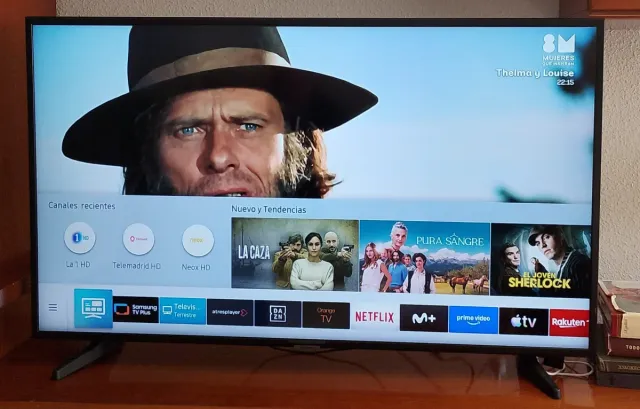 Televisor Samsung 43 Negro