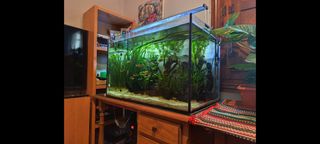 Acuario 200L 80x50x50 Completo