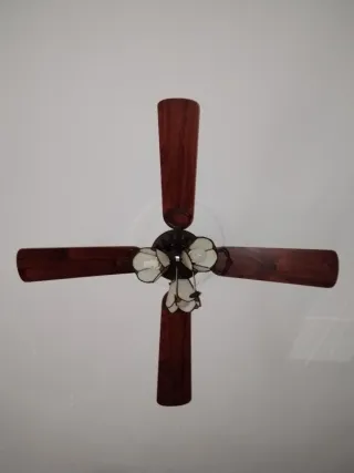 Ventilador de techo madera y cristal