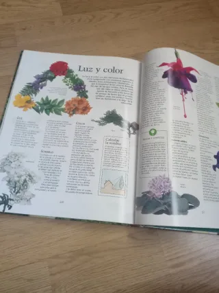 Manual práctico de la jardinería