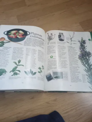 Manual práctico de la jardinería