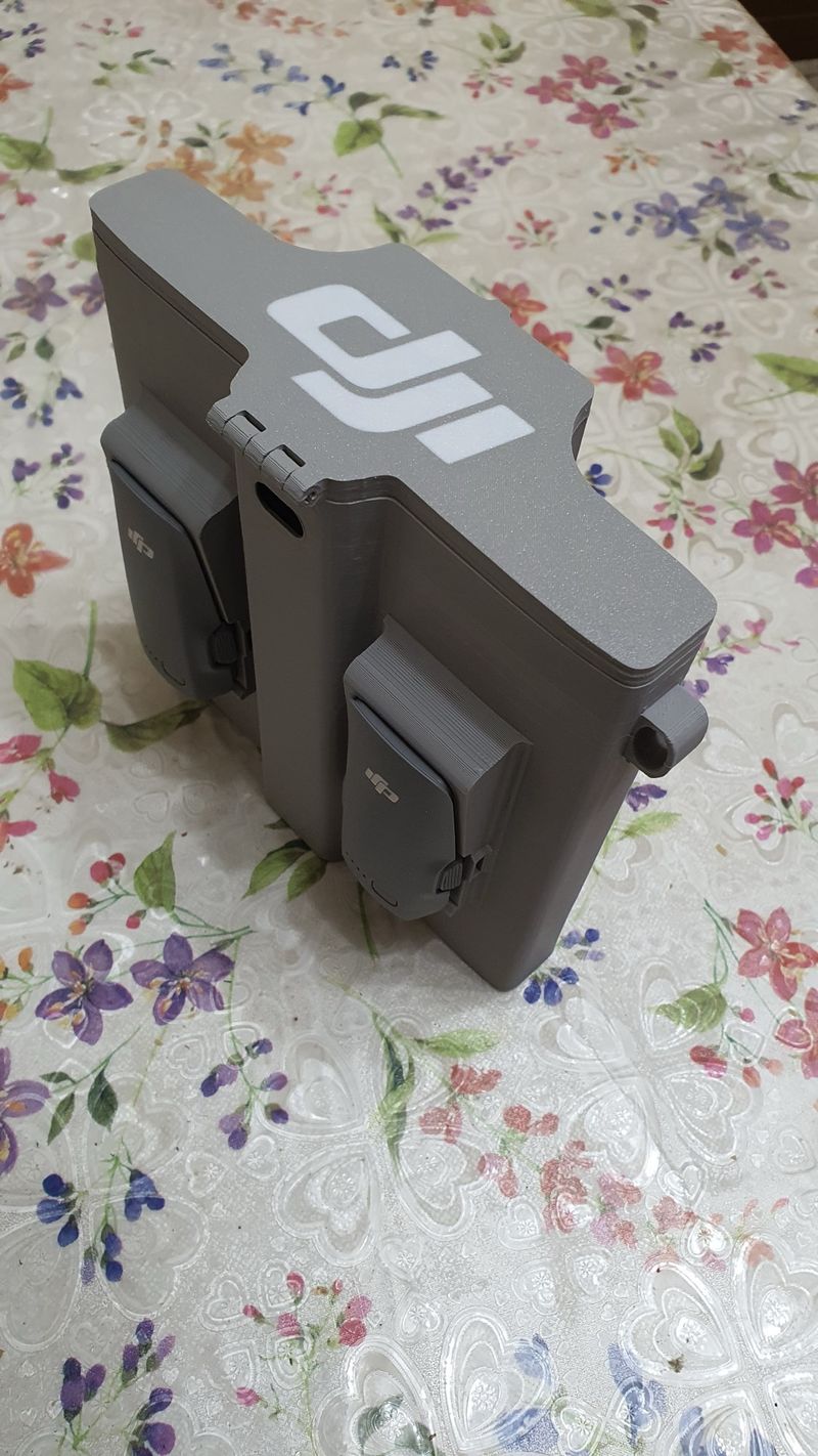 Estuche DJI Mini 2 Gris