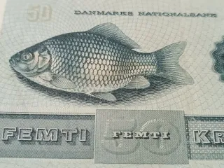 DINAMARCA. Billete de 50 Coronas. Emisión  de 1972