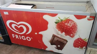 Nevera arcón Frigo con diseño de fresa