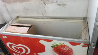 Nevera arcón Frigo con diseño de fresa