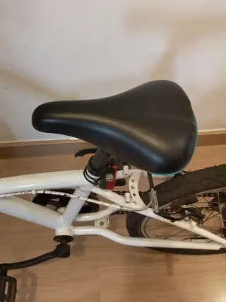 Bicicleta infantil 20 pulgadas