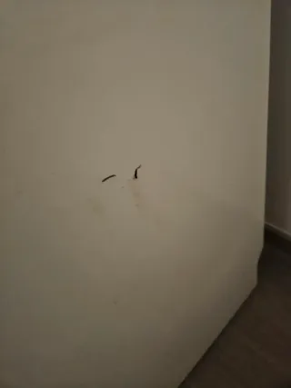 Nevera blanca 145 cm