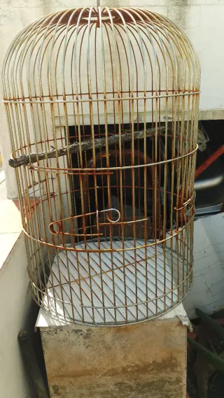 Jaula para loro grande