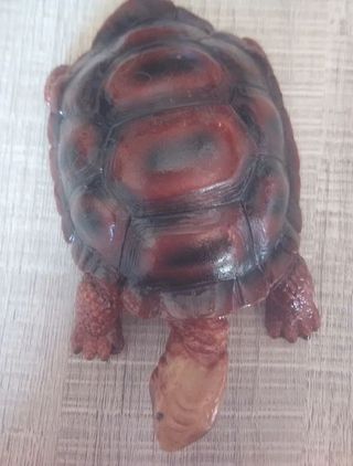 Tortuga decorativa marrón