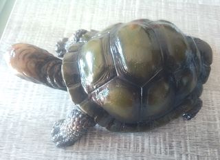 Tortuga decorativa marrón