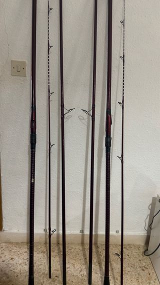 Caña Shimano Power Aero Surf BX