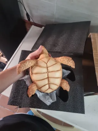 Estatua Tortuga Dragon Ball Infinite Studio