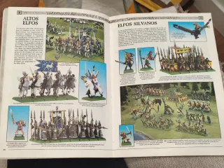 Libro Warhammer
