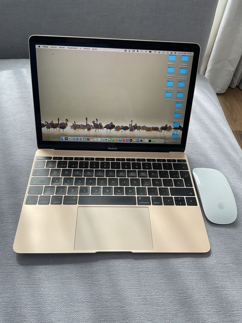 Ordenador portátil MacBook Retina 12” 2015 Dorado