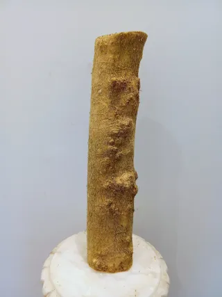 Madera de Boj Buxo Buxus Muy Bonita