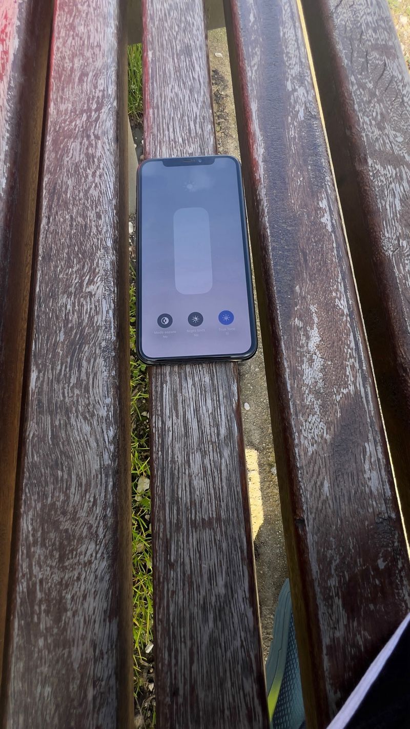 iPhone XS Negro/Dorado afbeelding 4