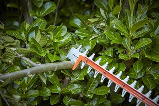 Tagliasiepi BLACK+DECKER 650W, testa girevole, e