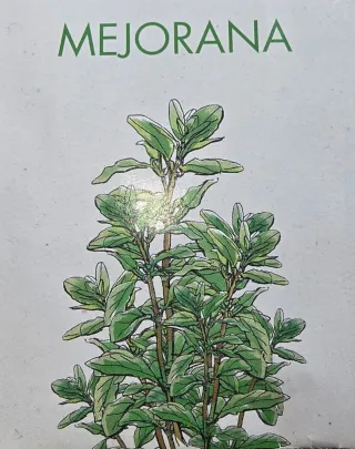 15 semillas de Mejorana hierba planta aromática
