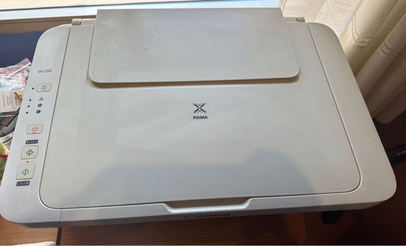 Impresora Canon MG2550 Blanca