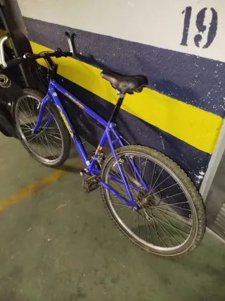 Bicicleta azul