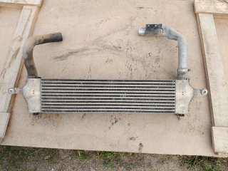 Despiece Nissan Qashqai 2010