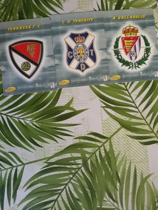 Cromos Panini Liga 2004-2005