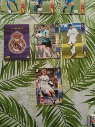 Cromos Panini Liga 2004-2005