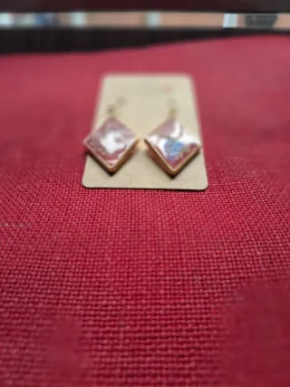 Orecchini con fiori secchi in resina dorati