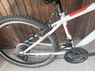 Bicicleta Blanca