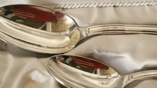 Set de cubiertos de metal plateado