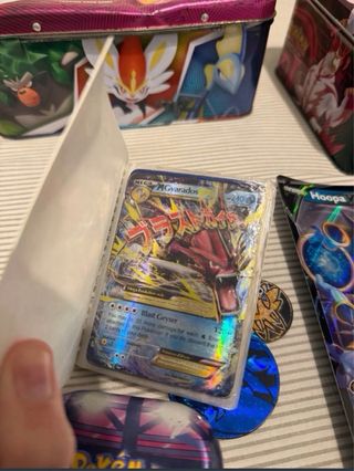 Lote Pokémon: Caja, Carpetas y Cartas