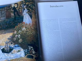 El impresionismo en detalle, gran formato 27x37cm