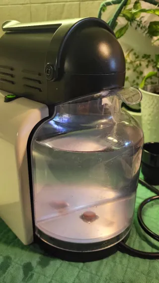 Macchina Caffè Nespresso De Longhi