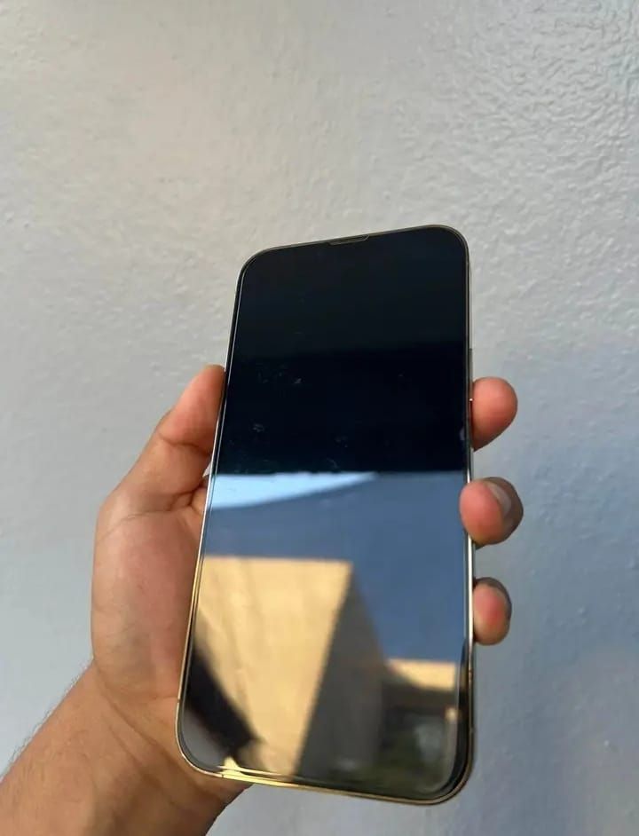 iPhone 13 Pro Max Dorado afbeelding 5