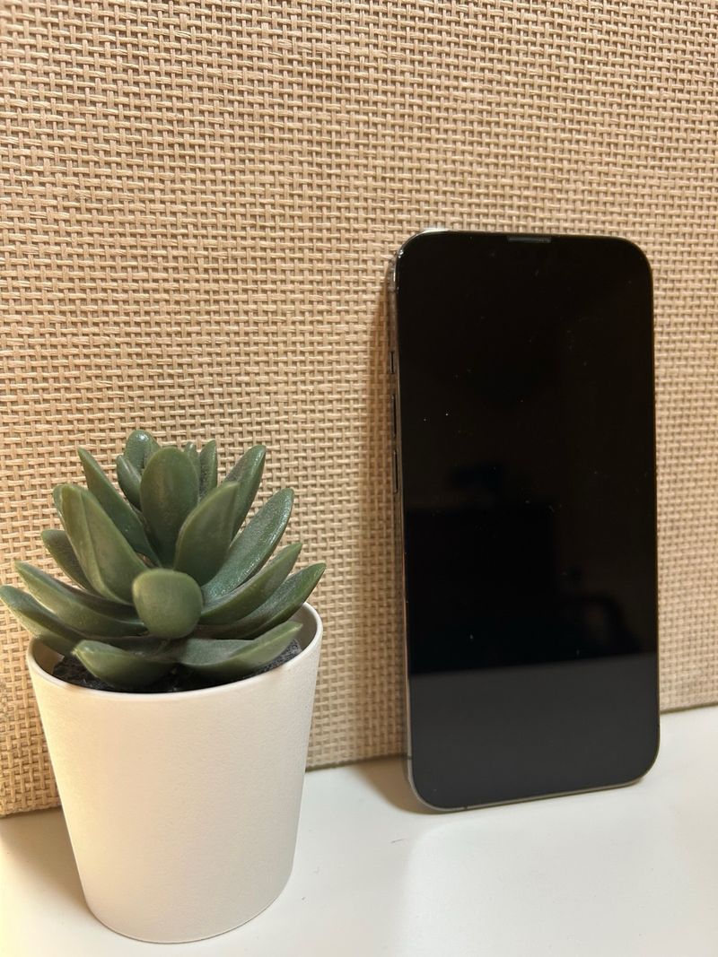 iPhone 13 Pro 256GB afbeelding 4
