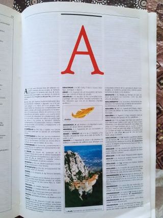 El Pequeño Larousse 2001