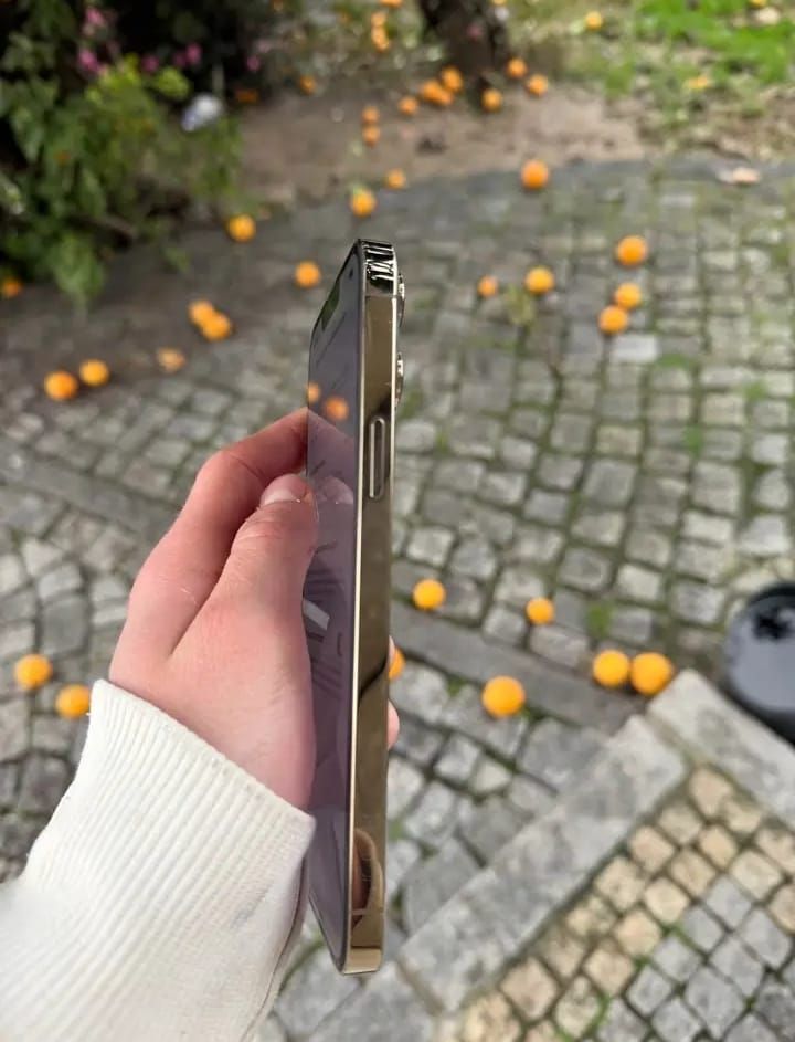 iPhone 13 Pro Max Dorado afbeelding 2
