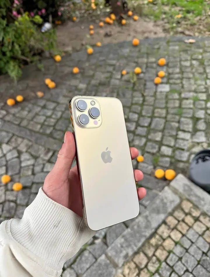 iPhone 13 Pro Max Dorado afbeelding 3